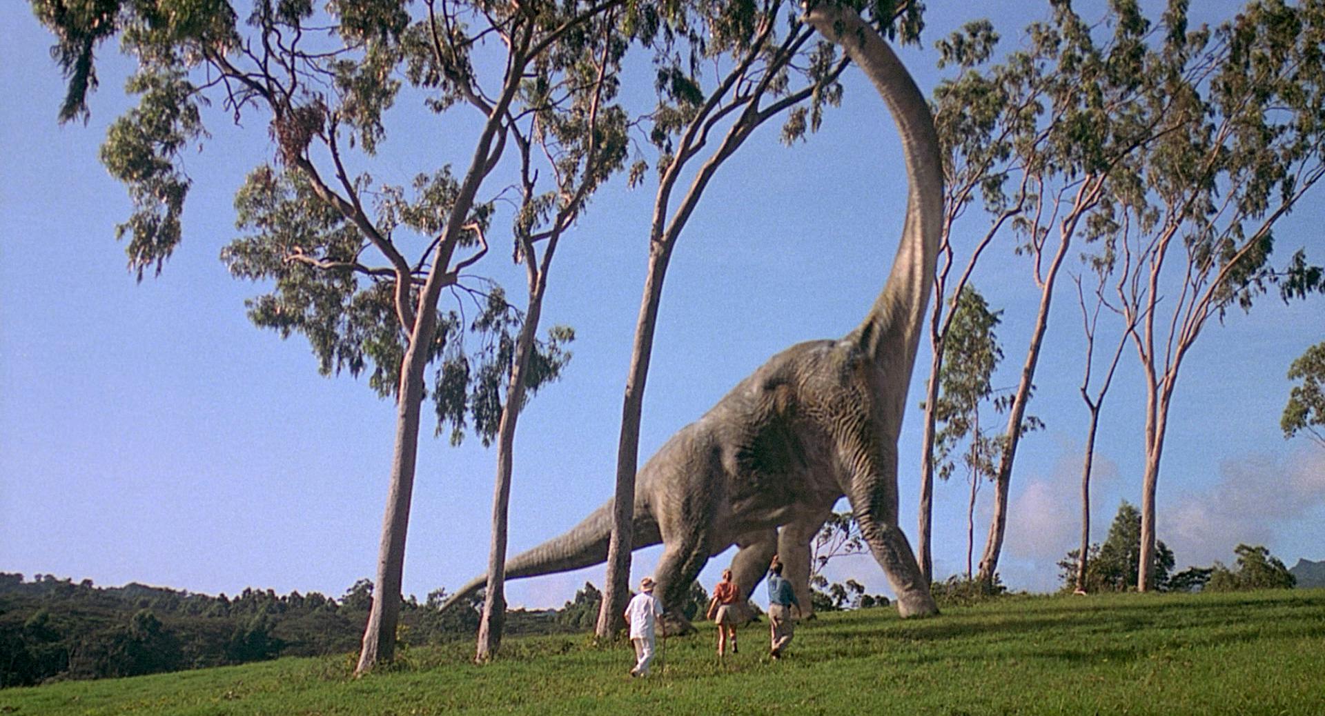 Jurassic Park Bild